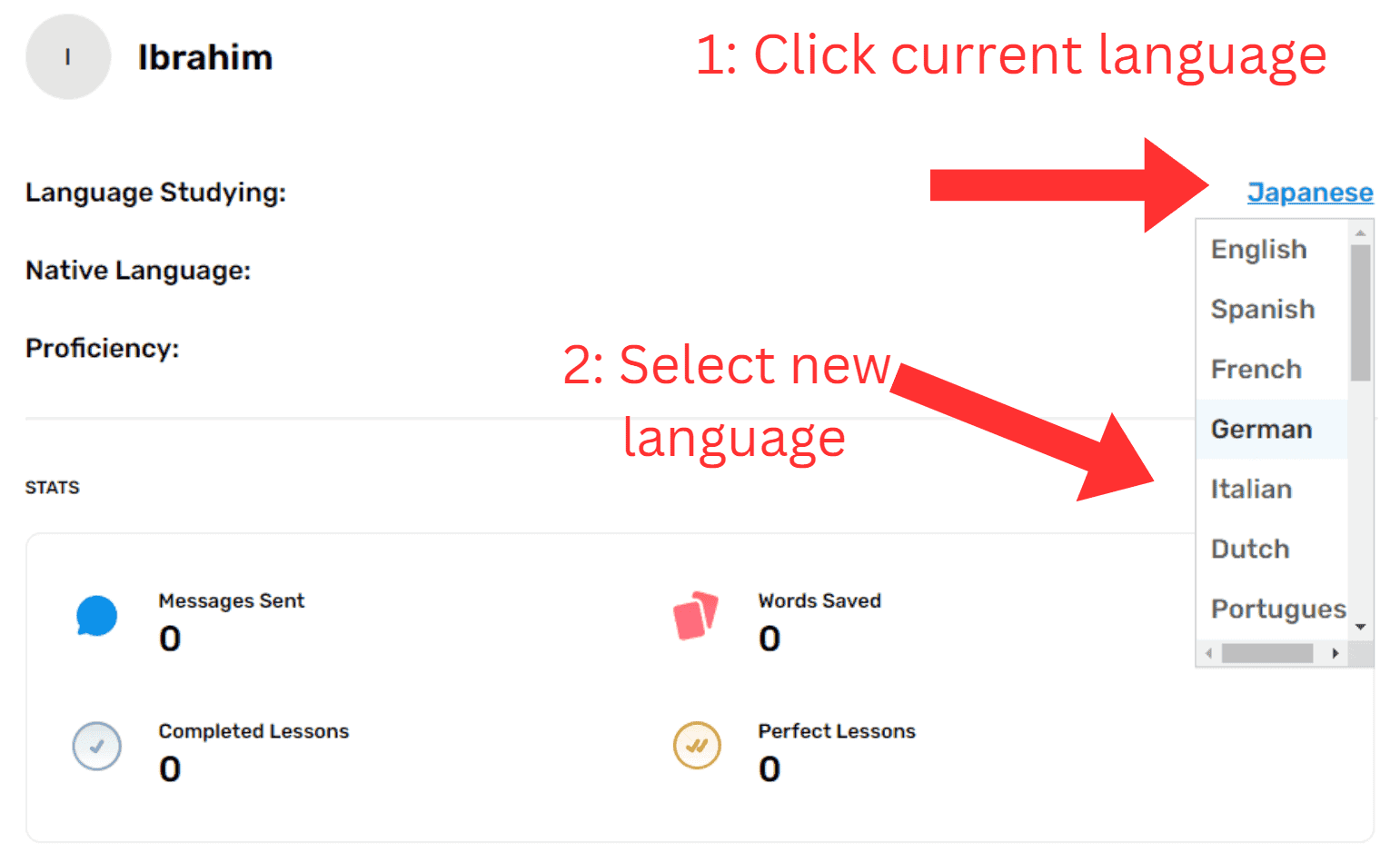 Switching languages